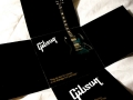 portfolio_gibson_3